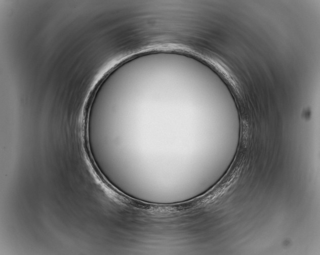 X0000101101046200806261039