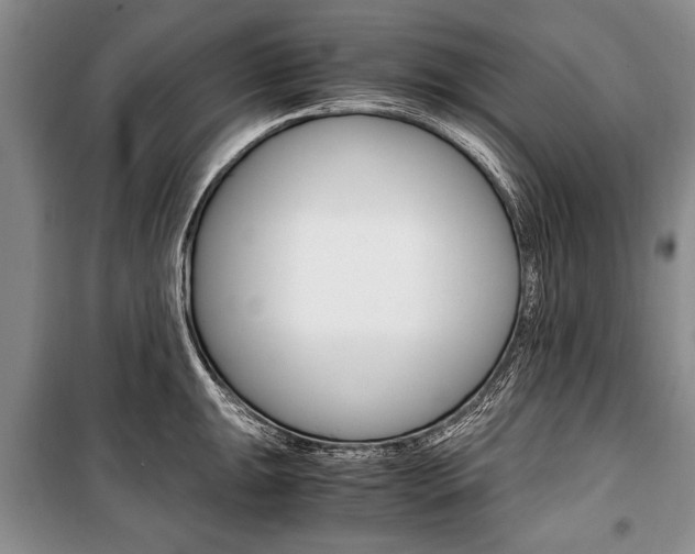 X0000101101047200806261039