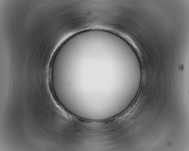 X0000101101048200806261039