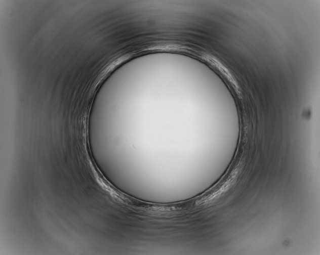 X0000101101049200806261039