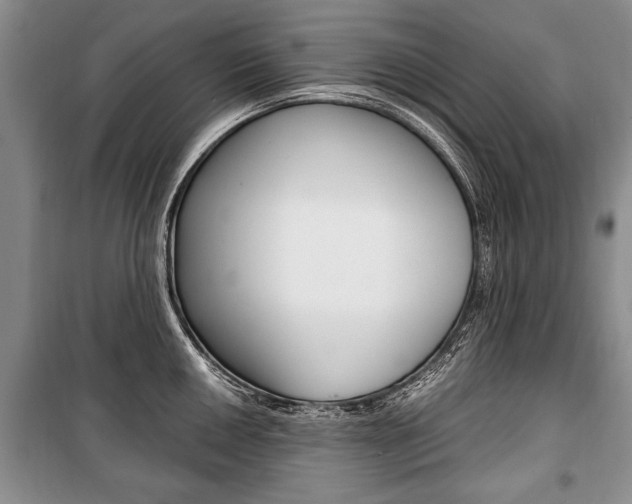 X0000101101050200806261039