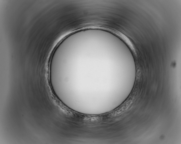 X0000101101051200806261039