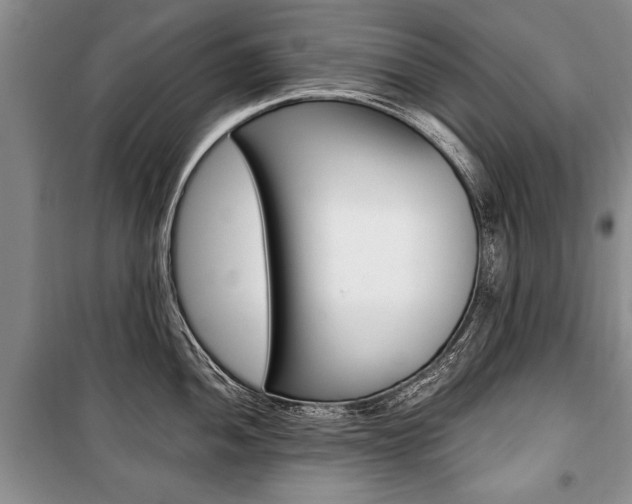 X0000101101052200806261039