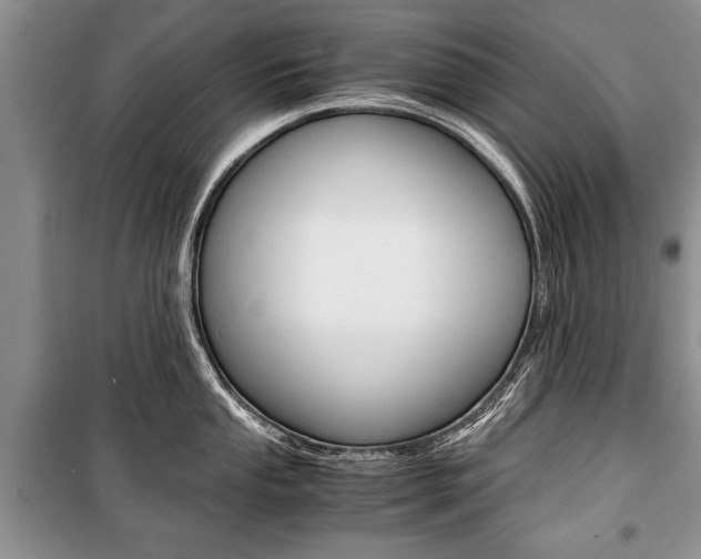 X0000101101053200806261039