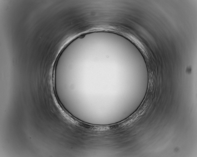 X0000101101055200806261039