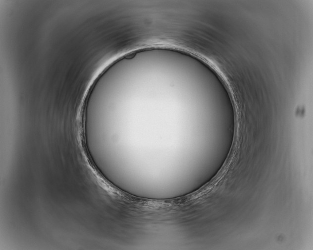 X0000101101056200806261039