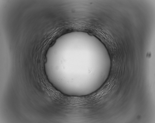 X0000101101057200806261039
