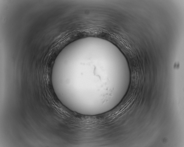 X0000101101058200806261039