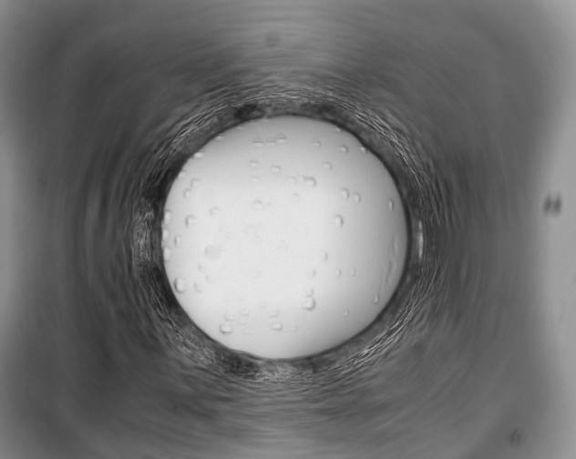 X0000101101059200806261039