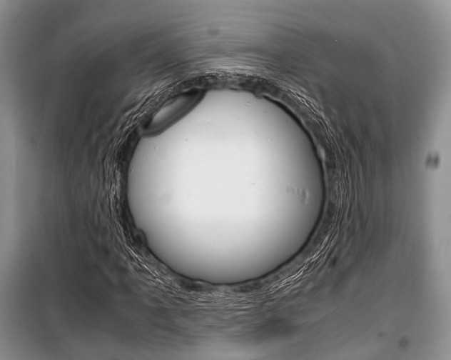 X0000101101061200806261039