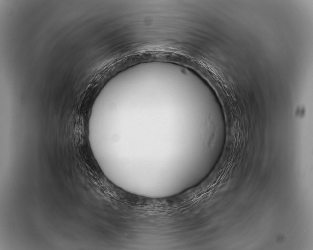 X0000101101062200806261039