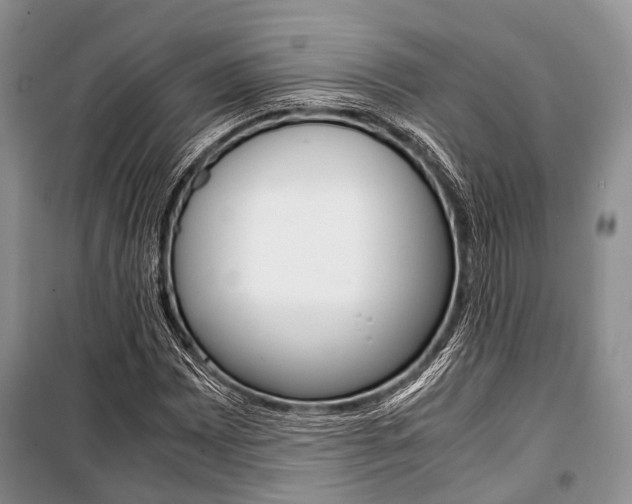 X0000101101065200806261039