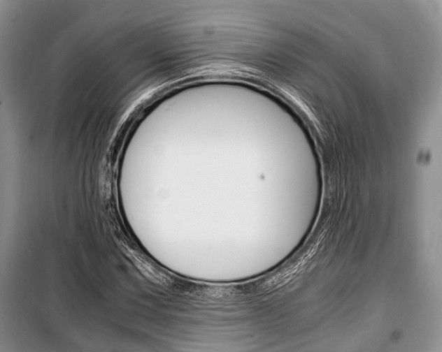 X0000101101067200806261039