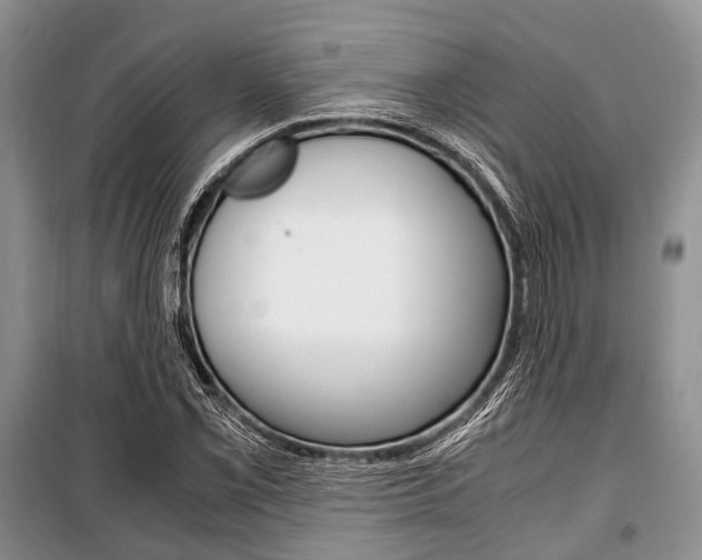 X0000101101069200806261039