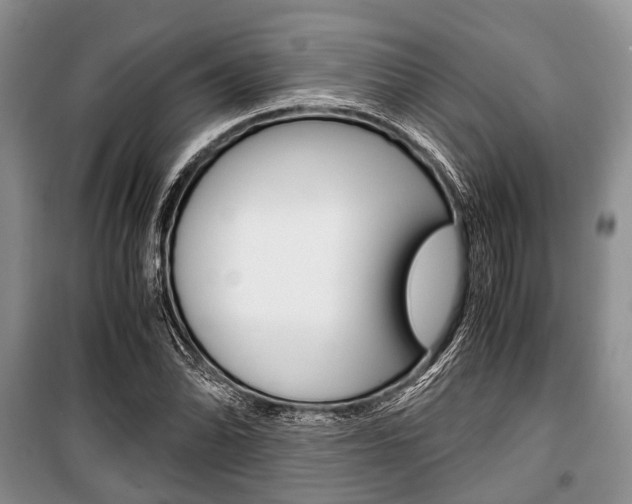 X0000101101070200806261039