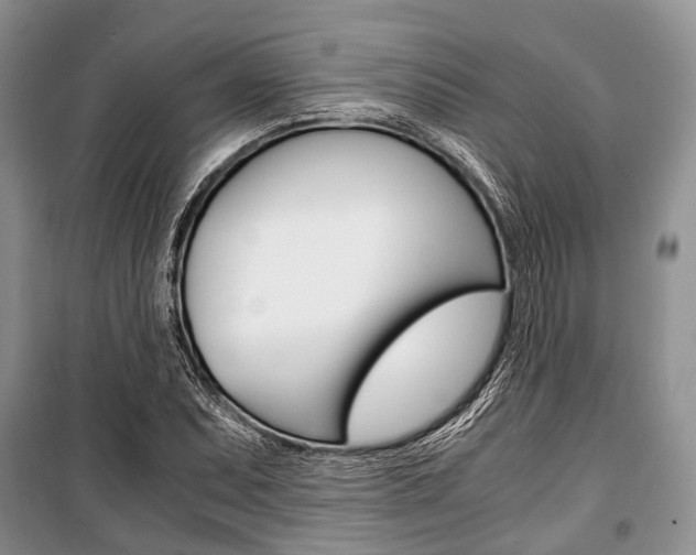 X0000101101071200806261039