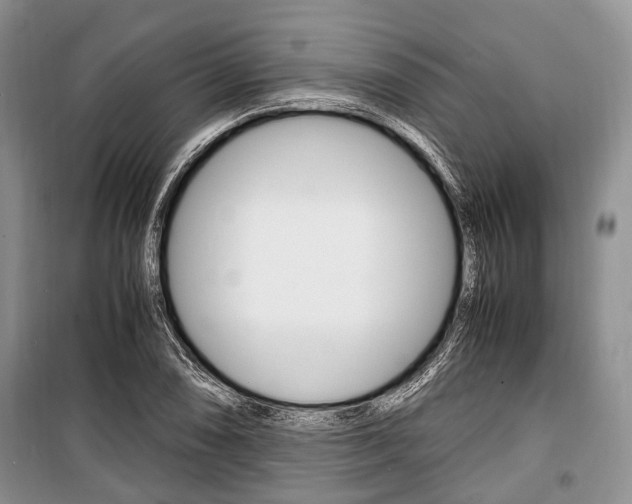 X0000101101074200806261039