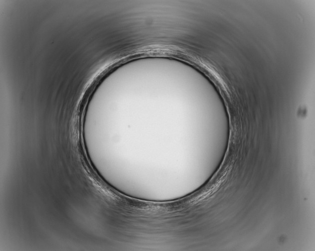 X0000101101075200806261039