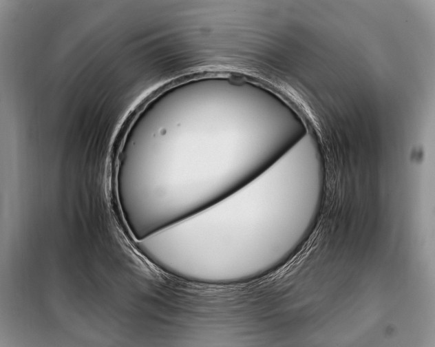 X0000101101076200806261039