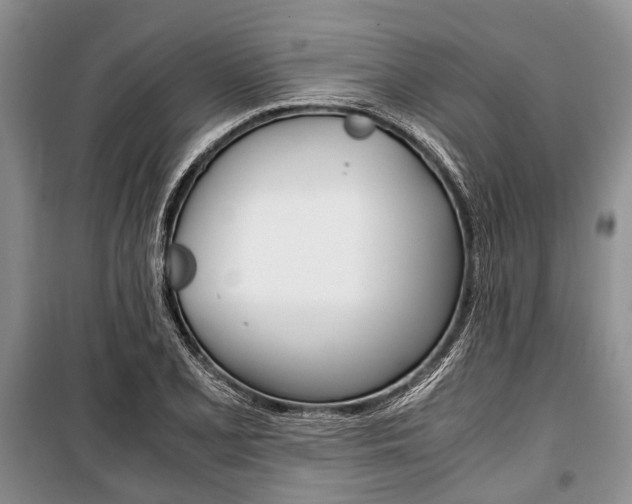 X0000101101077200806261039