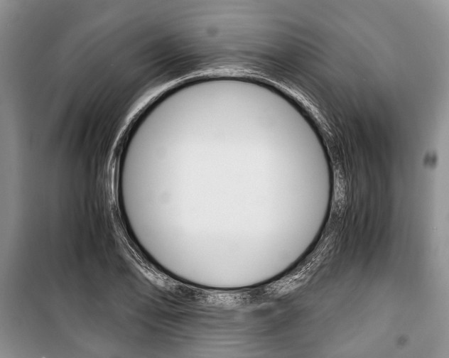 X0000101101078200806261039