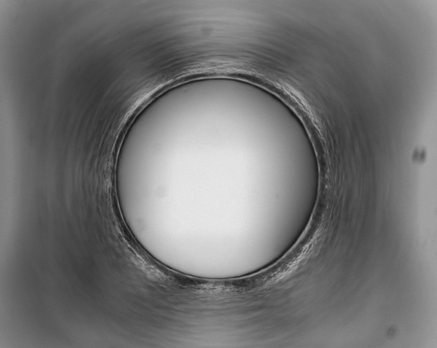 X0000101101081200806261038