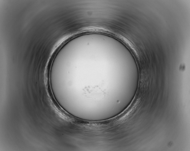 X0000101101082200806261038