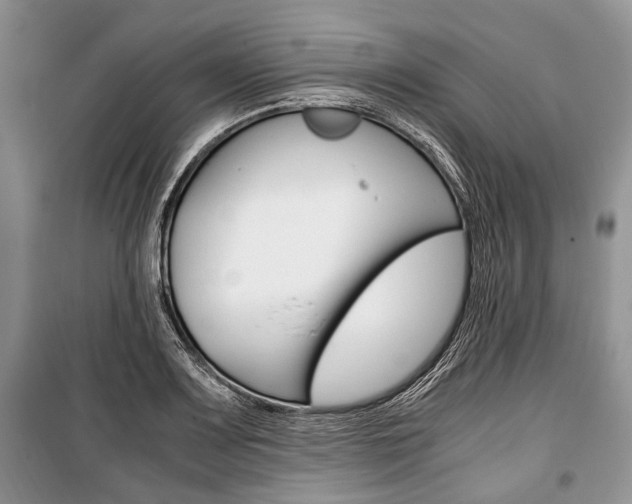 X0000101101083200806261038