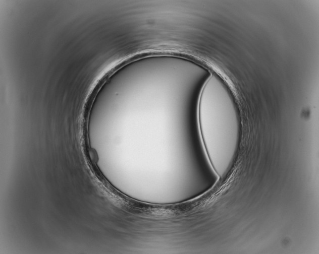 X0000101101085200806261038