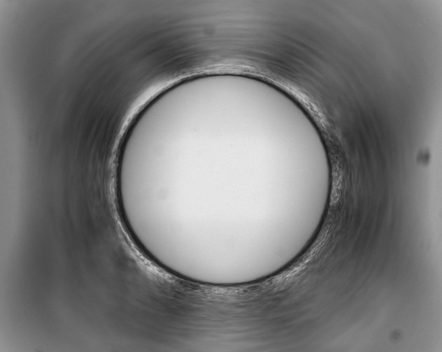 X0000101101086200806261038