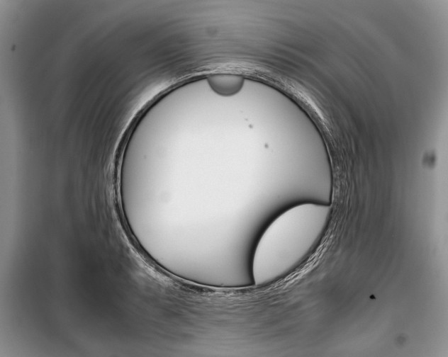 X0000101101087200806261038