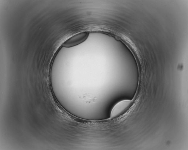 X0000101101089200806261038