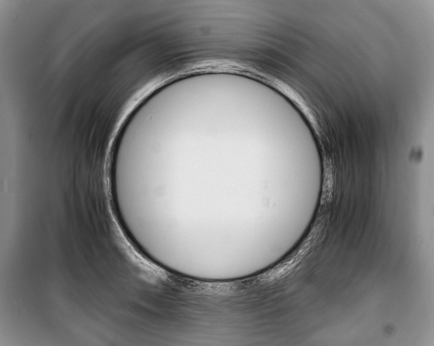 X0000101101090200806261038