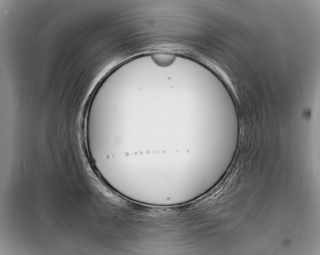 X0000101101091200806261038