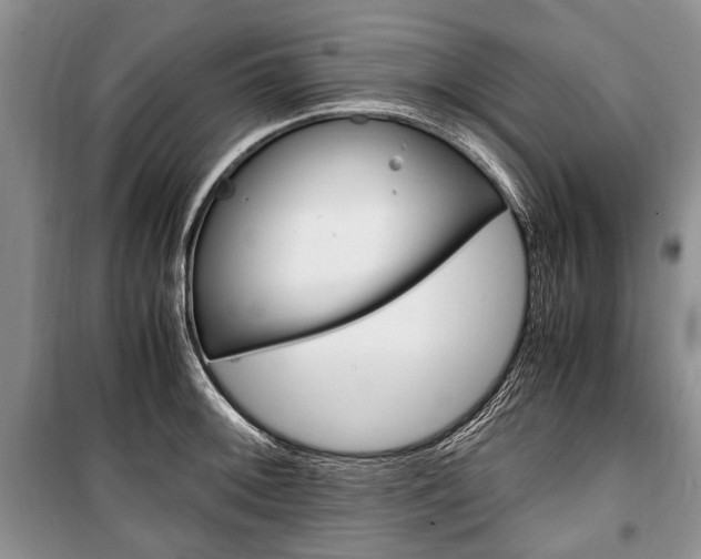 X0000101101092200806261038
