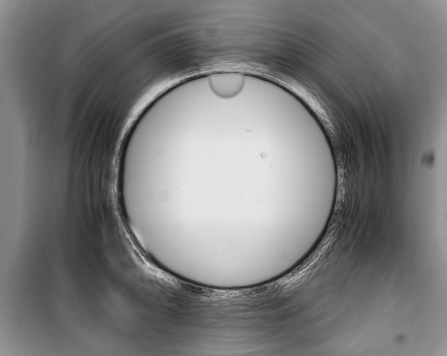 X0000101101094200806261038