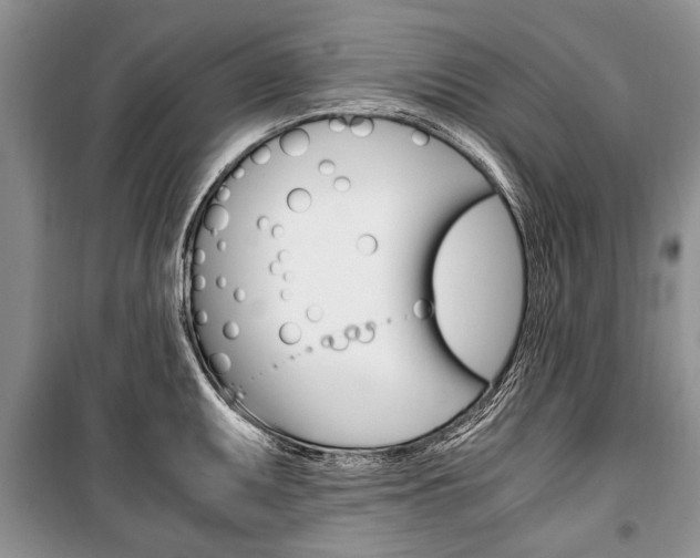 X0000101101095200806261038