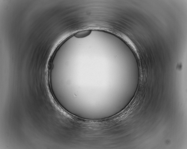 X0000101101096200806261038