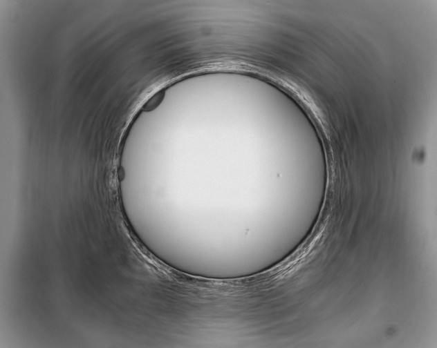 X0000101101097200806261038