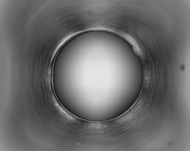 X0000101101100200806261038