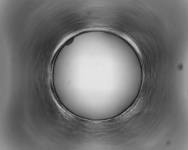 X0000101101101200806261038