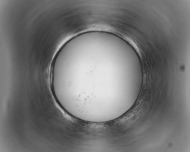 X0000101101103200806261038