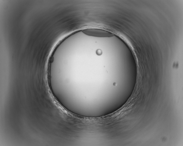 X0000101101104200806261038