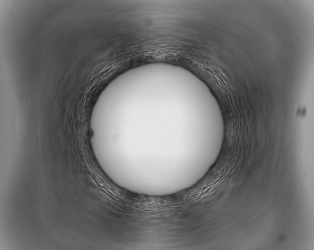 X0000101101105200806261037