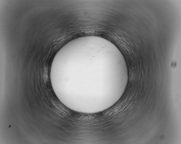 X0000101101106200806261037