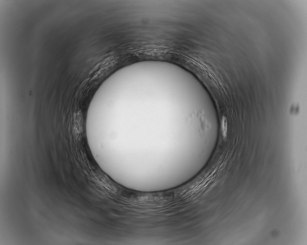 X0000101101107200806261037