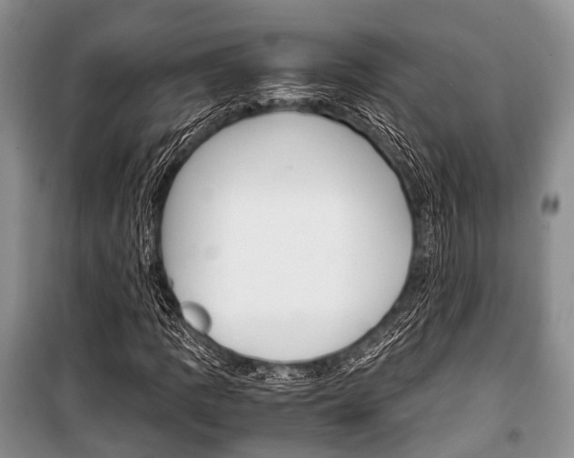 X0000101101109200806261038
