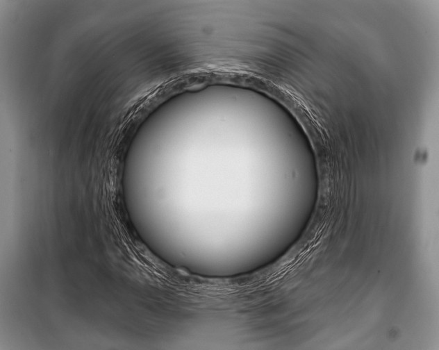 X0000101101110200806261038