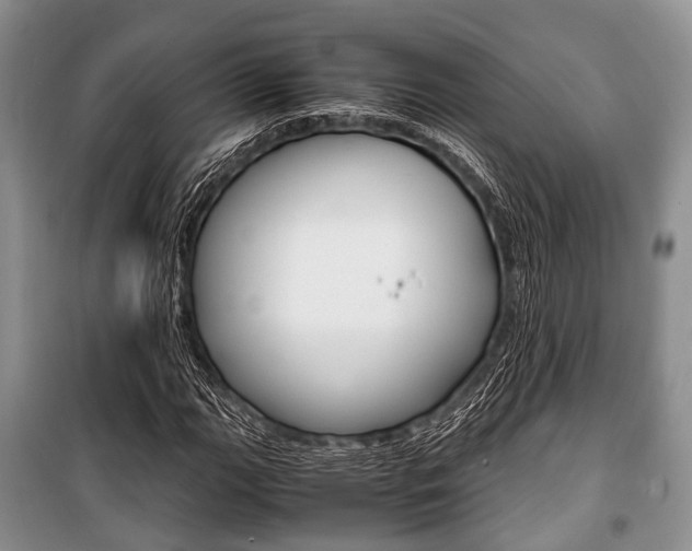 X0000101101111200806261038