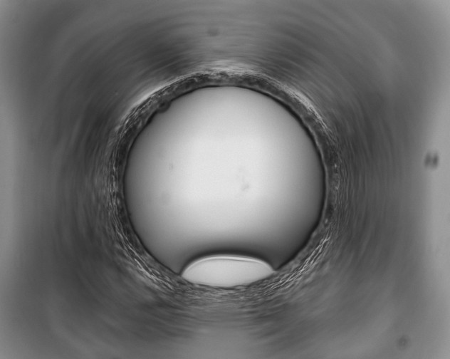 X0000101101112200806261038